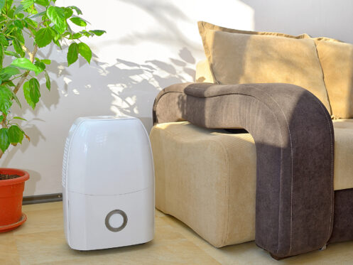 Portable dehumidifier